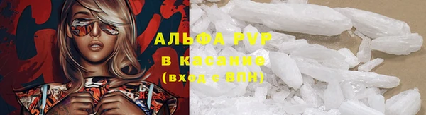 дживик Данков