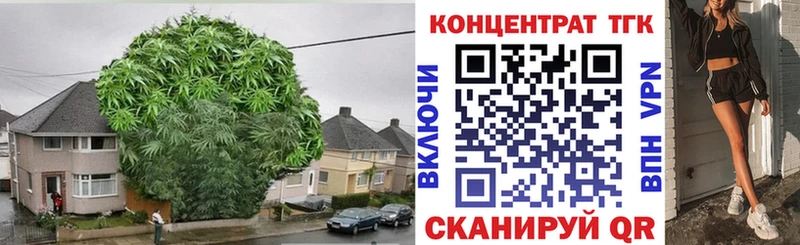 закладка  Серафимович  ТГК жижа 