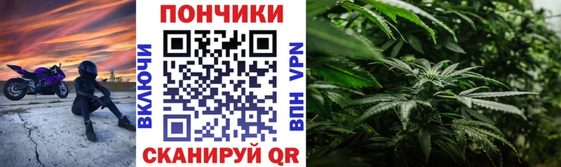 Марихуана THC 21%  Серафимович 